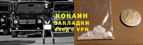 гашик Новозыбков