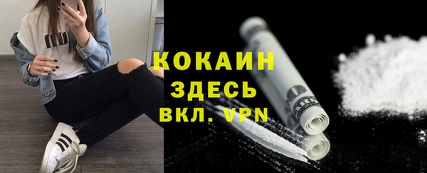 гашик Новозыбков
