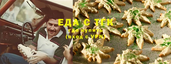 гашик Новозыбков