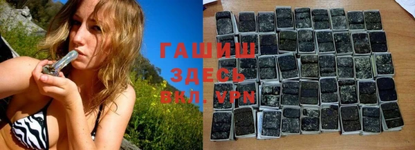 гашик Новозыбков