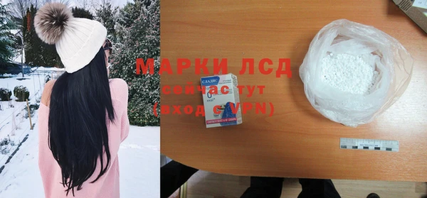 гашик Новозыбков
