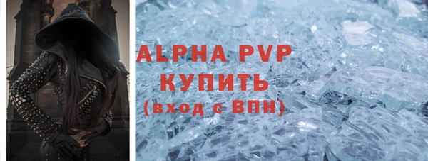 гашик Новозыбков