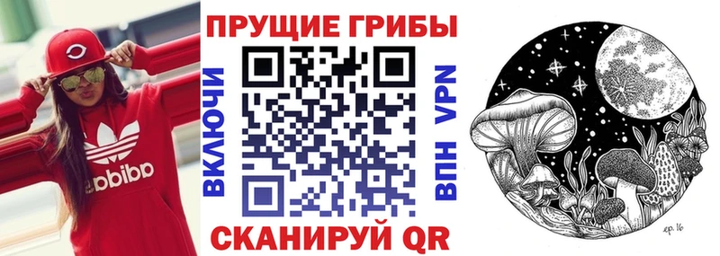 купить наркотик  Арамиль  Псилоцибиновые грибы мицелий 